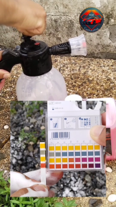 โฟมล้างรถสลายคราบ สูตรDouble WAX ขจัดคราบพร้อมเคลือบในครั้งเดียว ผลิตภัณฑ์ดูแลรถยนต์ TOE CarDetailing