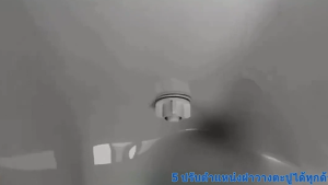 น๊อตยึดฝาชักโครก COTTO และ ยีห้อที่คล้ายกัน รุ่น พลาสติก ABS ทนการกัดกร่อนอย่างดี