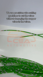 2PIN 1PCS Perodua Myvi Kenari Viva Proton FLX Waja Exora Toyota Camry Naza Citra Radiator Fan Motor Male Female Socket