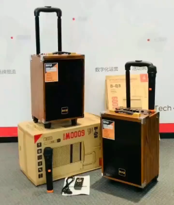 RD-BQ23 Wooden 6000W Bluetooth Portable Super Bass Speakers Trolly Wireless Fountction of TV/FM/Karaoke/Vedioke Speaker Free Wireless Microphone