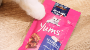 [ยกกล่อง 9 แพ็ค] Vitakraft Cat Yums ขนมแมว สอดไส้นุ่ม ขนาด 40 กรัม