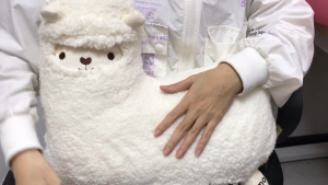 💖Christmas Gift💖✅SG Ready Stocks✅ Japanese Electric Alpaca Warm Massager Pillow Cushion Lukewarm Massage Cute Gift Idea Xmas