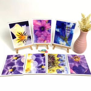 TENNESY HIASAN DINDING WALL DECOR BUNGA UNGU ABSTRAK 15x20CM PAJANGAN POSTER DEKORASI DINDING KAMAR RUMAH
