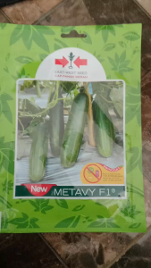 Benih Mentimun New Metavy F1 Isi 175 Butir Cap Panah Merah Bisa COD