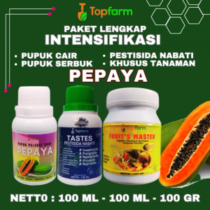 Pupuk Topfarm: Pilihan Terbaik untuk Buah Pepaya
