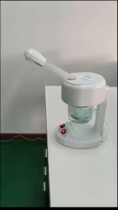 Máy Xông Hơi Da Mặt Mini DT- 03 | Máy Xông Hơi 1 Cần Nóng Chăm Sóc Da Tại Nhà.