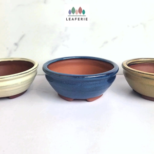 The Leaferie Bonsai Pot / Tray (Series 57) . Plant pot CeramicFlowerpot Flower pots