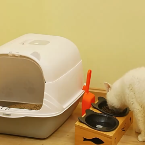 nhà vệ sinh tai mèo 2in1 dành cho mèo - T3 PETS SHOP