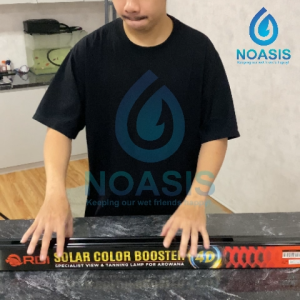 RDI Lampu LED SOLAR COLOUR BOOSTER RD SCB 4 D Ukuran 800 1000 1200 1500 1800