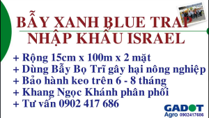 Trị Bọ Trĩ Bọ Xít Muỗi bằng Keo Dính Màu Xanh Nhập Khẩu Israel (Combo 10 mét) Blue Trap bảo hành trên 8 tháng chịu mưa nắng
