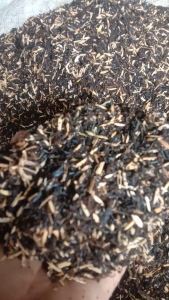 MEDIA TANAM PREMIUM SIAP PAKAI RACIKAN PETANI INDONESIA 1 KARUNG free 250 gr NPK 16-16-16