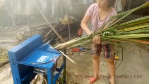 Dao băm cỏ voi 40cm