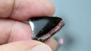 9.45 ct พลอยแท้ พลอยดิบ วอเตอร์ เมล่อน ทัวร์มาลีน สีชมพู เขียว ทรงธรรมชาติ