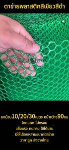 ตาข่ายพลาสติกสีเขียวสีดำ ยกม้วน10/20/30 เมตร หน้ากว้าง90ซม ตาข่าย6เหลี่ยมรังผึ้ง ตะแกรงพลาสติก ตะข่ายพีวีซี ใช้รองหินจัดสวน ล้อมรั้ว ทำกรงสัตว์เลี้ยง