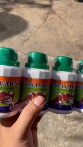 INFLUMINT OBAT BATUK DAN FLU SAPI KAMBING DAN KERBAU REBUNG OBAT PILEK HEWAN TERNAK FLUDOXIN 100ML