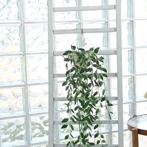 Hanging potted plant combination simulation potted plant hanging strips indoor home wall decoration plants