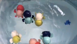 Wonderful Toys Baby Bath Toy Swimming Plaything Cartoon Tortoise Cute Animals Shape Baby Accompany Bathing Tools Wind-up Turtle/Dolphin/Crab/Yellow Duck