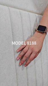 [PERABOT RUMAH]Customize Premium Bedframe Gold Line Design 5FT/6FT