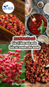 Xuyên tiêu đỏ 1kg (Hoa tiêu Tứ Xuyên thơm cay tê) - Thảo dược Hạnh nguyên