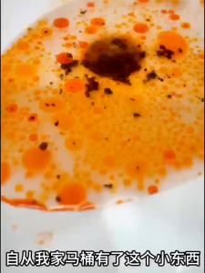 Toilet Aromatic Cleaner Toilet Hanging Basket Deodorant Fragrance Toilet Cleaner 30g