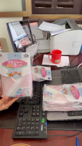 Túi lưới giặt áo ngực áo lót Aisen xuất xứ Nhật Bản LG020 chất liệu dầy dặn