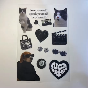 แผ่นรีด ตัวรีดติดเสื้อDFT STICKER SD021- SD040