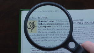 Kính lúp có cán cầm tay Carson SG-10 SureGrip 2x (11.5x) - Hãng Carson Mỹ