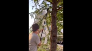 🔥cordless chainsaw🔥CHRIS 6" Telescoping Pole Electric Cordless Chainsaw High Branch Saw Garden Fruit Tree Shears Cutter Pruning Saw Wood Tool Potong Pokok