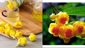 Trà Hoa Vàng Quảng Ninh Sấy Lạnh 100g - Đặc Sản Rừng