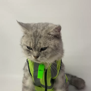 Baju kucing anjing monyet kelinci cowok cewek lucu murah gratis ongkir - Cat Parking Vest Bukipet