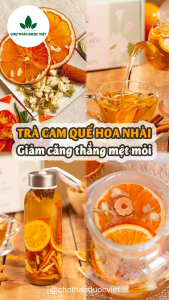 Trà cam quế hoa nhài táo đỏ 30 set mix giữ ấm cơ thể trà thanh lọc thư giãn tinh thần - Chợ Thảo Dược Việt