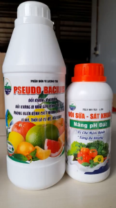 Bộ Đôi Đặt Trừ Bệnh Héo Xanh Vàng Lá Thối Cổ Rễ Chết Yểu PSEUDOMONAS Và Vôi Sữa