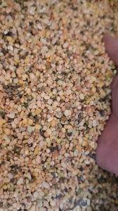 Đậu xanh cho gà chim bồ câu gà đá gà ăn vào mát cơ thể ít bệnh giải nhiệt vật nuôi mau lớn túi 1kg