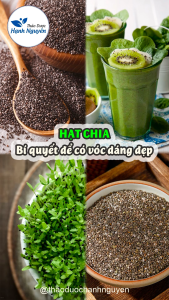 100g Hạt Chia - Thảo Dược Hạnh Nguyên