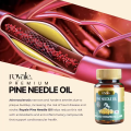 Royale Pine Needle Oil. 