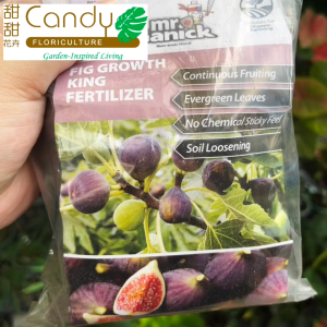 (SG Seller) Mr Ganick Fig Growth King Fertilizer 400g (Baba)