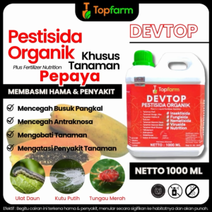 Obat Hama Pepaya California / Obat Semprot Hama Daun Pepaya / Obat Hama Untuk Tanaman Pepaya / Obat Hama Tanaman Buah Pepaya / Obat Hama Pepaya / Obat Hama Pepaya Pucuk Menguning
