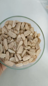 1Kg Biji Mahoni Kupas Kering Kualitas Super