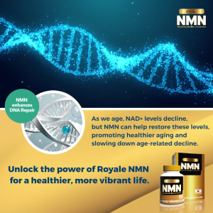Royale NMN (Nicotinamide Mononucleotide) - Capsule