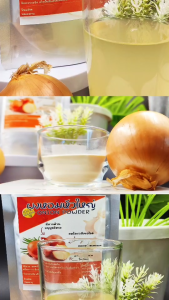 ผงหัวหอมใหญ่ อุดมด้วยไฟเบอร์และพรีไบโอติก ขนาด 100กรัม