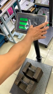 300 kg Timbangan Duduk Electronic platform scale Digital Pagar Lipat Singel Display