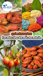 Quả dành dành 100g hạt dành dành khô nguyên liệu tạo màu vàng cho các món xôi chè bánh mứt