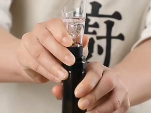 SegHome Wine Bottle Vacuum Stopper With Air Pump