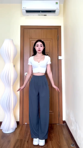 Quần Suông GOL HÀN Mịn Mát Sóng Quần Cạp Cao Lên From Sang Xịn D369