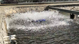 Máy tăng hàm lượng oxi trong nước giúp cá khoẻ mạnh