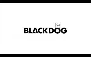 BLACKDOG Outdoor Square Rocking Chair