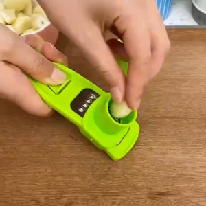 PARUTAN BAWANG PUTIH ALAT PENGHANCUR BAWANG PUTIH SET ALAT PRESS PISAU PARUTAN