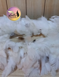 DIY Arts & Crafts Feathers | Bilog | 5-10cm | Natural White Color
