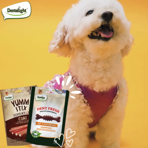 Dentalight Dog Dental Treats & Healthy Fur Assorted Bundle: A Comprehensive Guide