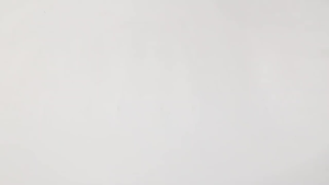 Sticky Mouse Trap Board: Indoor & Outdoor Mouse Pad Solutions